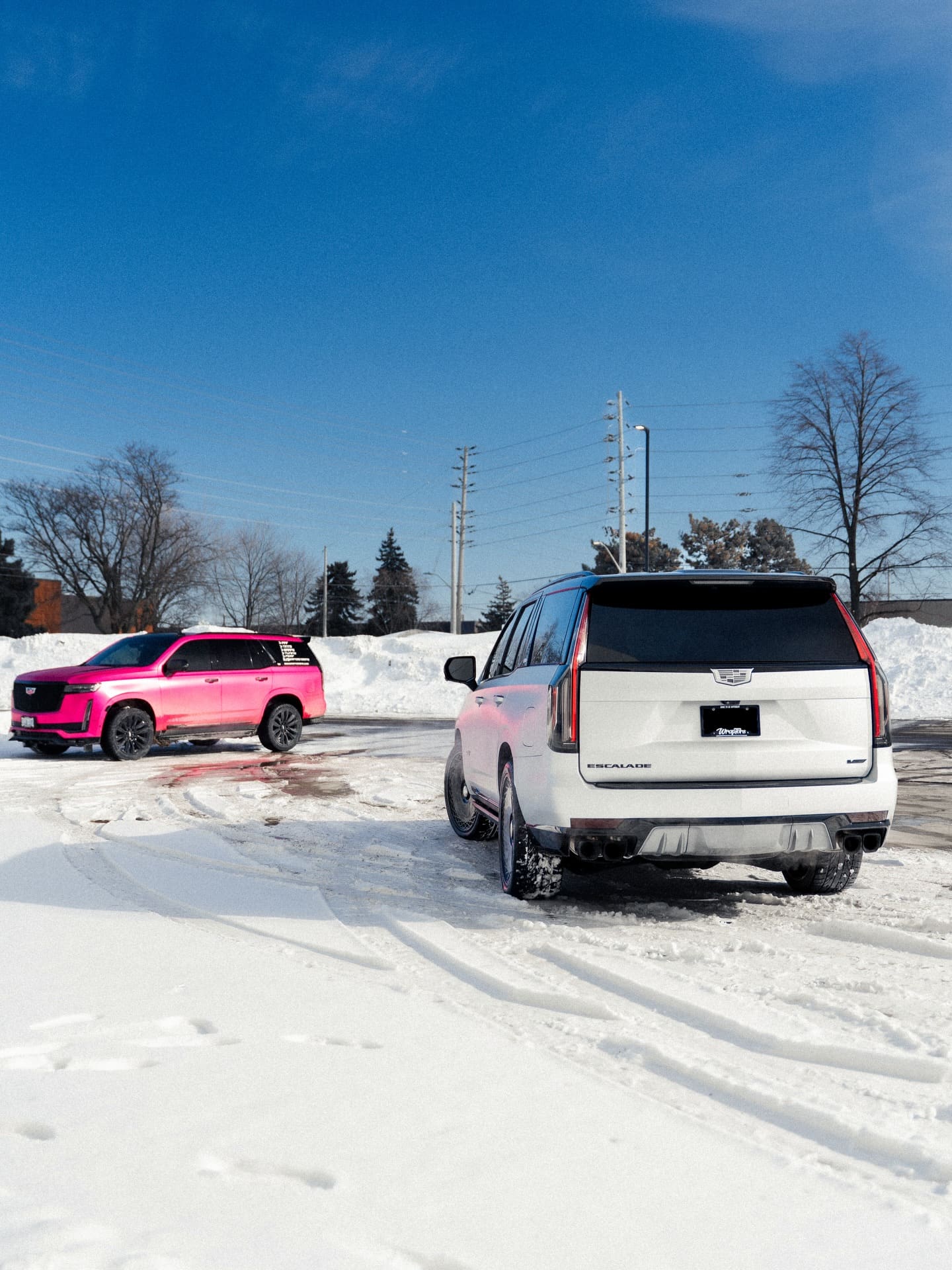 Vinyl Wrap vs Colour PPF: Which One Makes Sense for Your Build?