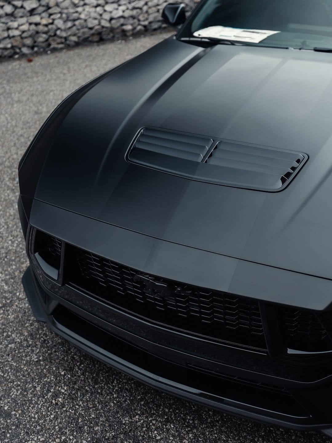 Mustang Signature Build